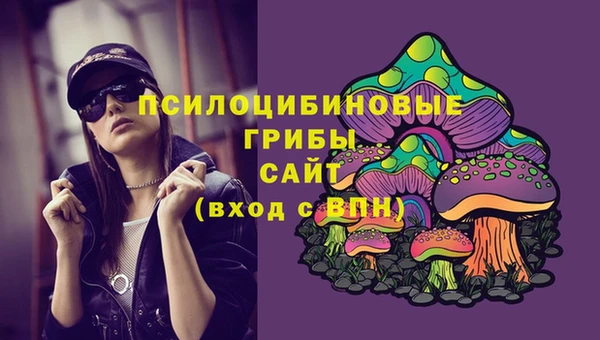 молекула духа Нея